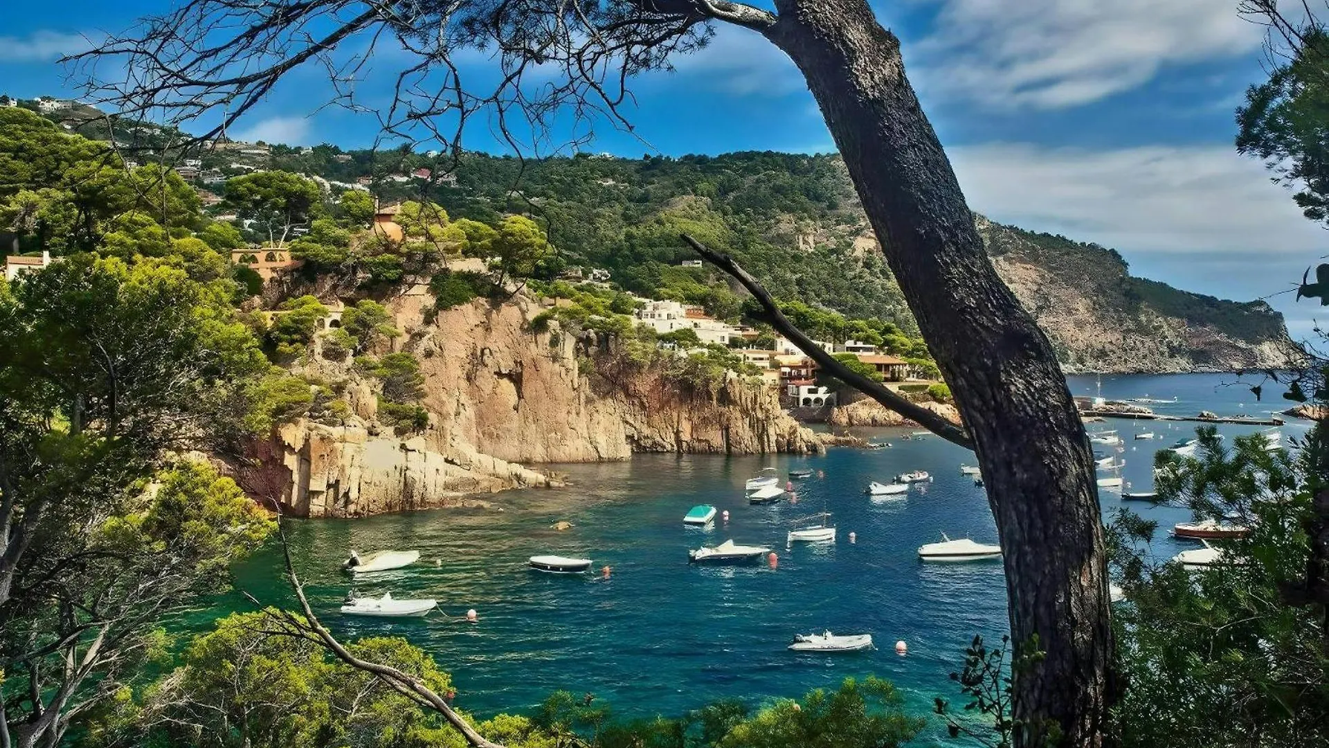 Апартаменты T4 - Beachside Escape With Unbeatable Views Тамариу